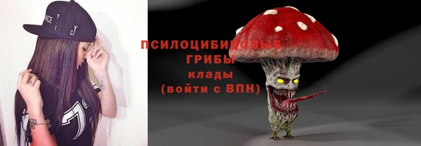 альфа пвп Верхнеуральск