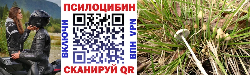 Галлюциногенные грибы мухоморы  Купить  Сураж 