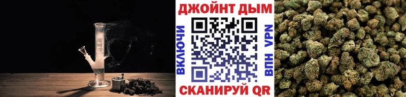 Купить закладки  Сураж  Канабис ГИДРОПОН 